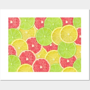 Colorful citrus slices Posters and Art